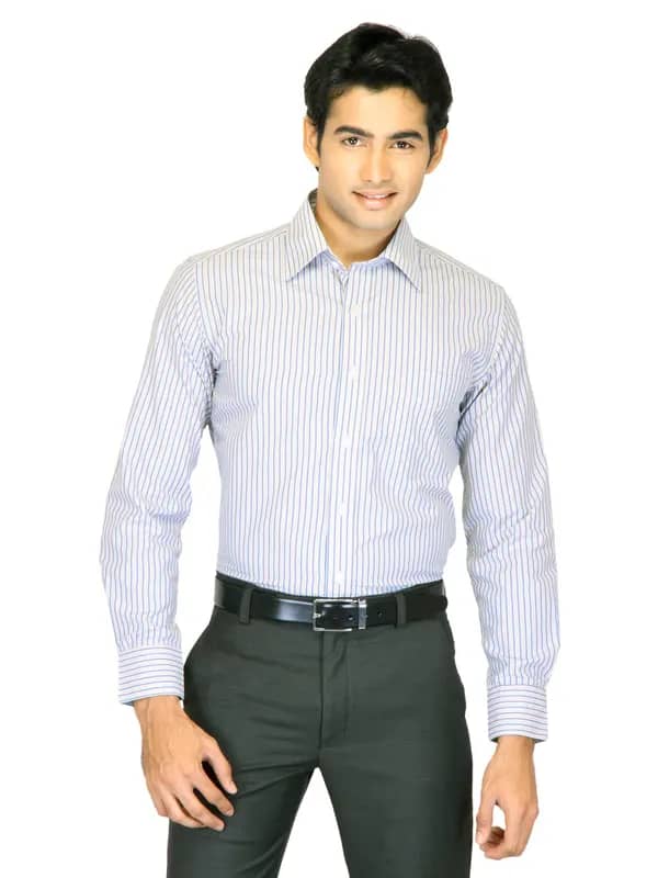 Mark Taylor Men Grey Striped Shirt
