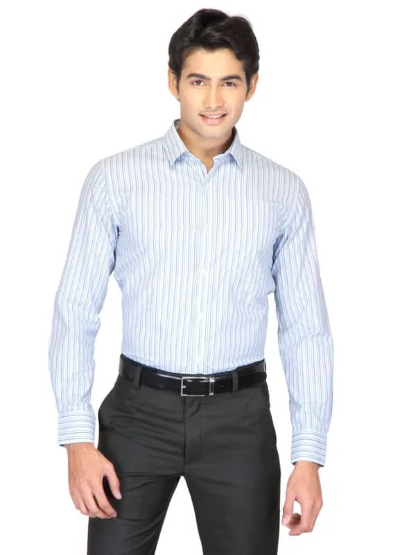 Mark Taylor Men Blue Striped Shirts
