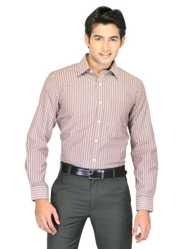 Mark Taylor Men Brown Striped Shirts