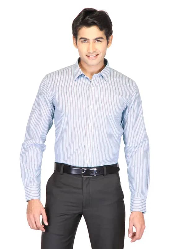 Mark Taylor Men Blue Striped Shirts