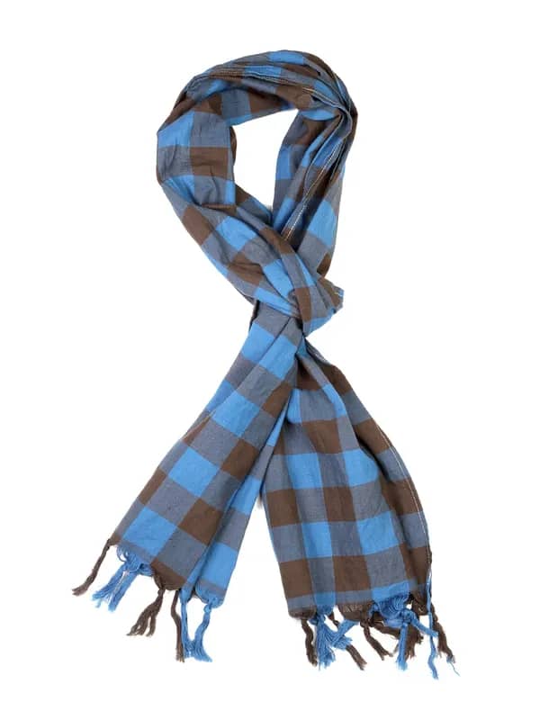 Basics Men Blue Checked Stoles