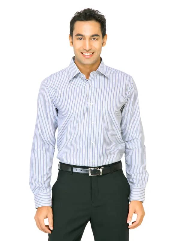 Mark Taylor Men Blue & Light Brown Striped Shirt