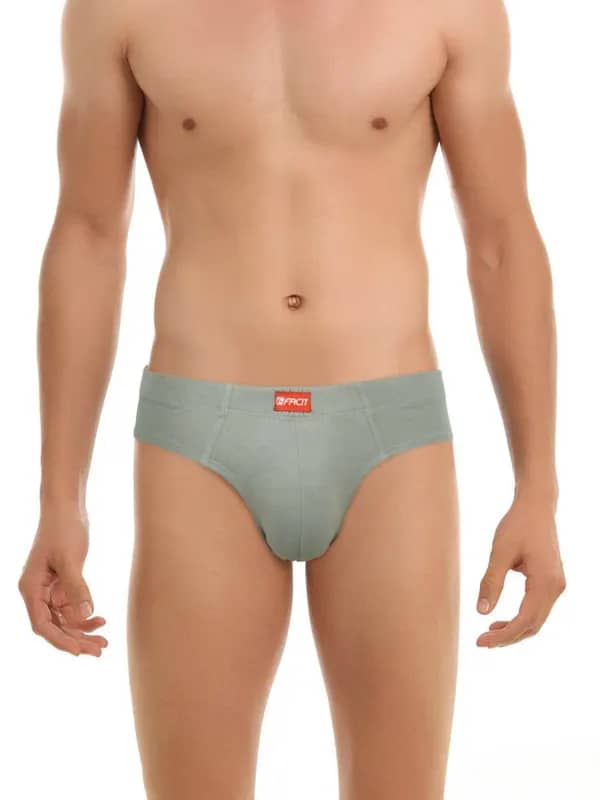 Facit Men Grey Comfort Briefs