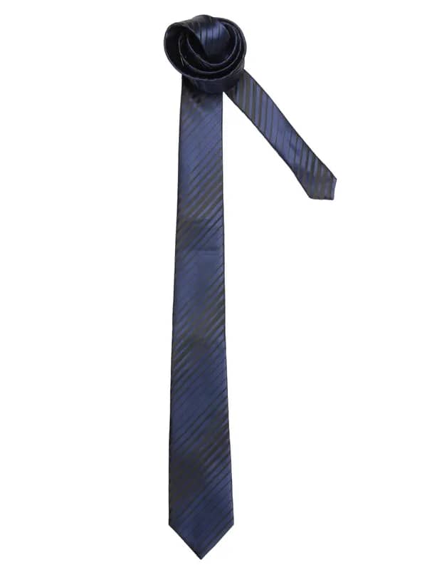 Turtle Men Stripes Blue Ties