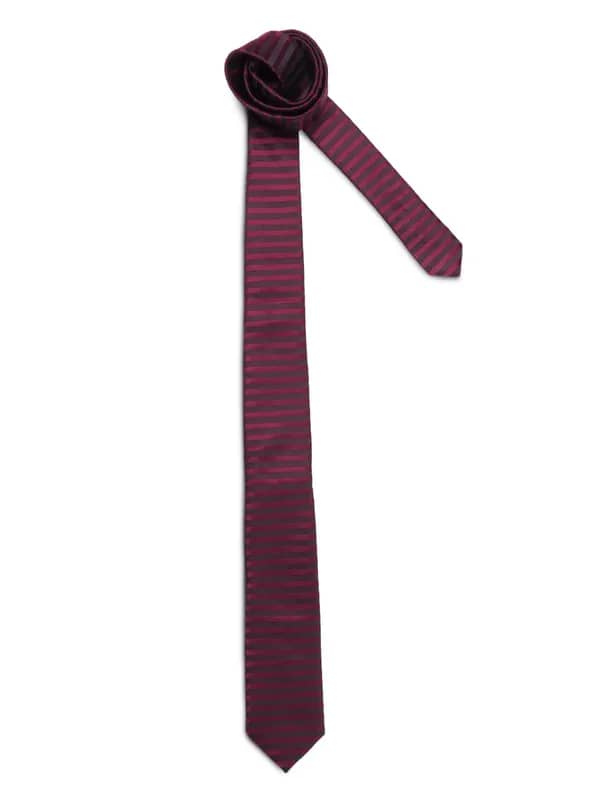 Turtle Men Stripes Maroon Ties