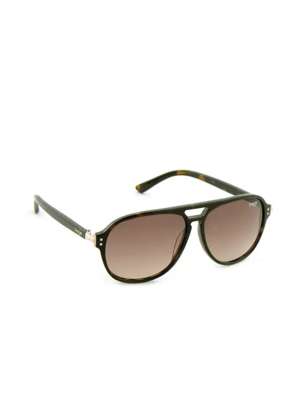 Image Men Classic Eyewear Brown Sunglasses