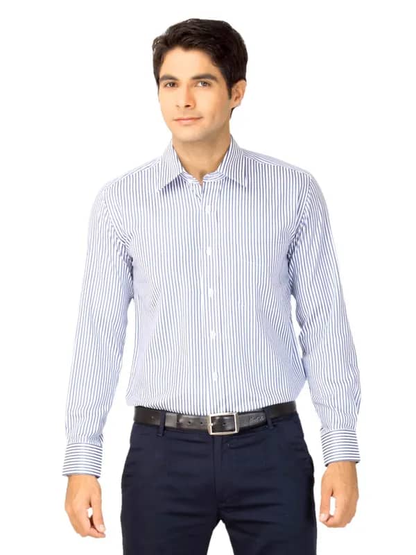Mark Taylor Men Blue & White Striped Shirt