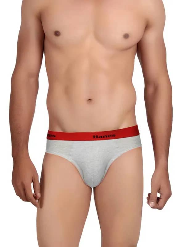 Hanes Men Grey Ultimate Duo Dry Cotton Stretch Bikini Briefs