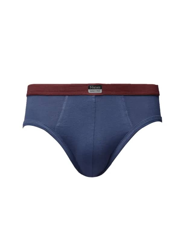Hanes Men Blue Ultimate Duo Dry Cotton Stretch Hip Briefs