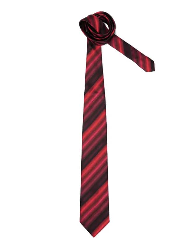 Peter England Men Elite Black Tie