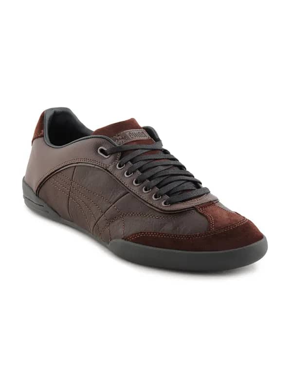 Puma Men Standpunkt Brown Casual Shoes