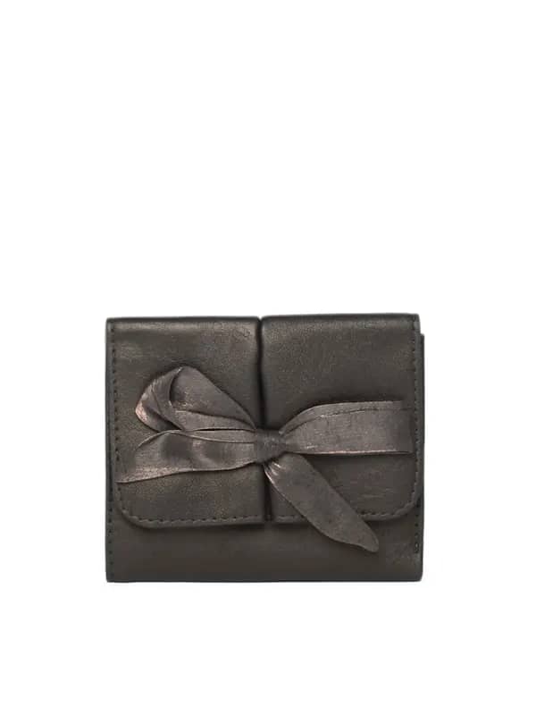 Baggit Women Brown Wallet