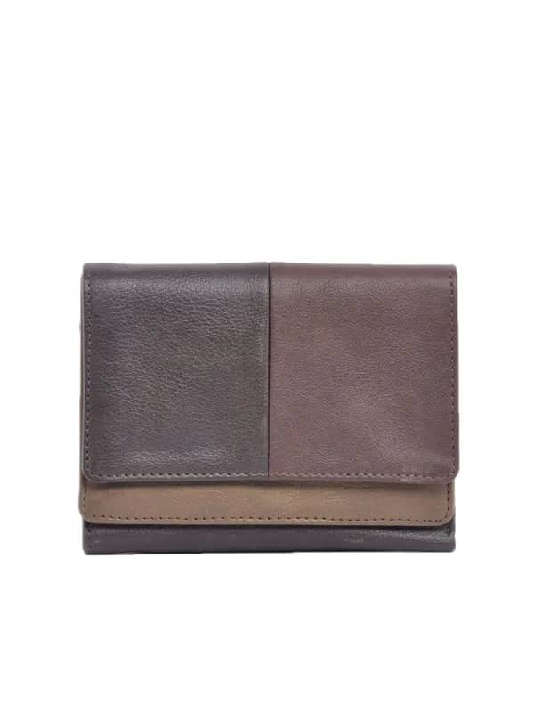 Baggit Women Humtum Taj Brown Wallet