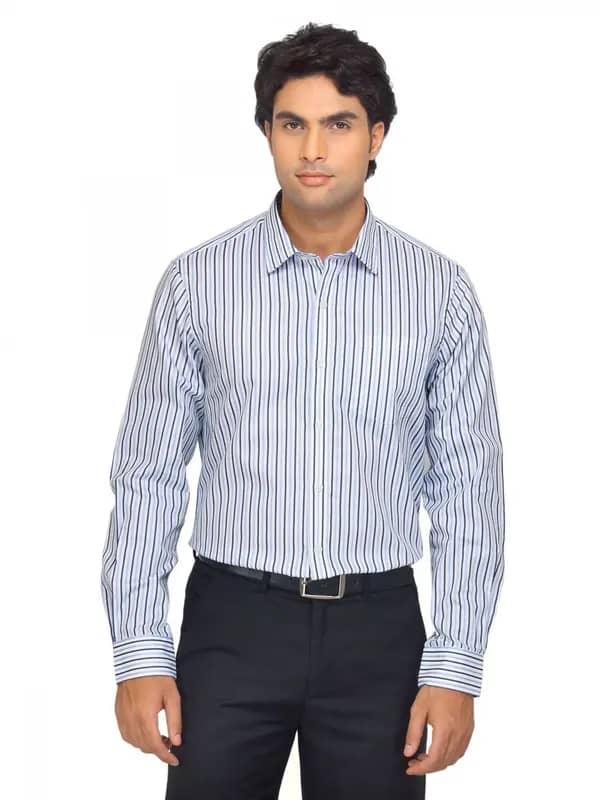 Arrow Men Blue Striped Shirt