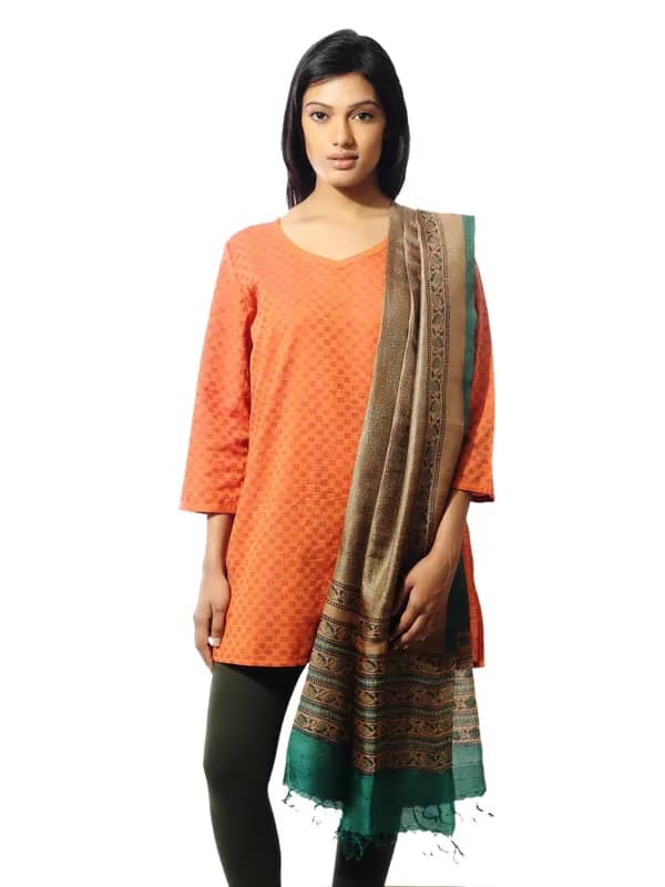 Fabindia Women Brown Tussar Dupatta