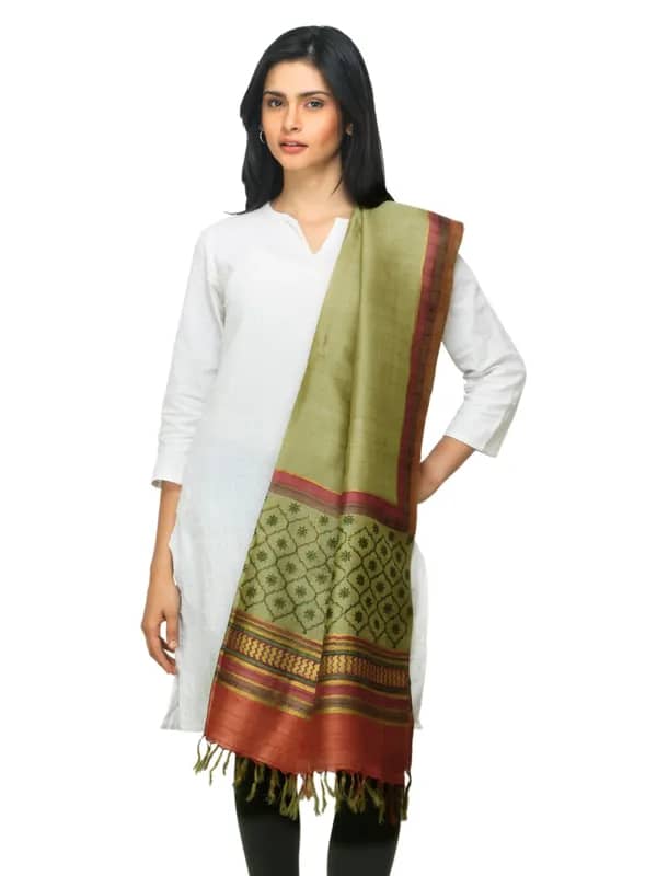 Fabindia Women Khaki Tussar Dupatta