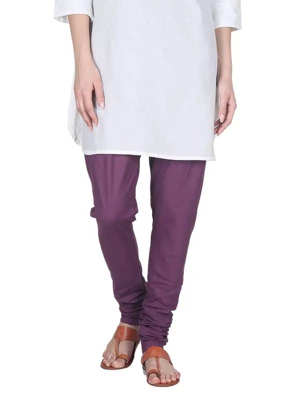Fabindia Women Purple Churidar