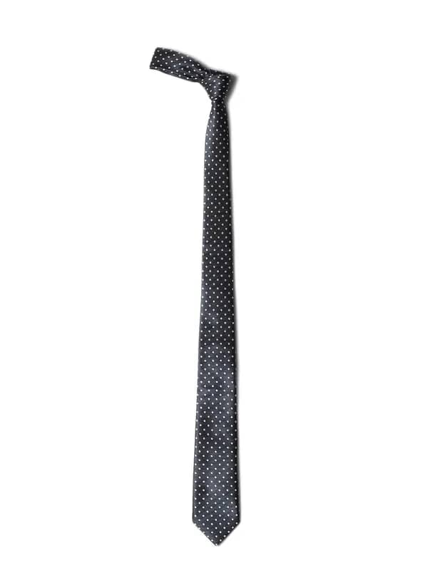 Allen Solly Men Navy Blue Tie