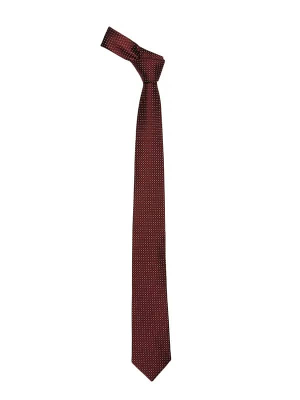 Reid & Taylor Men Maroon Dotted Tie