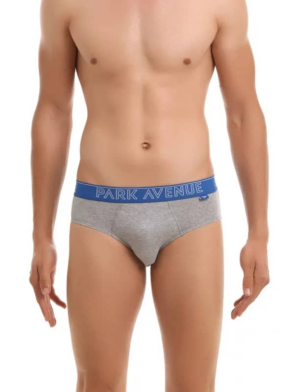 Park Avenue Men Grey Melange Briefs