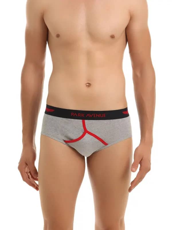 Park Avenue Men Grey Melange Briefs