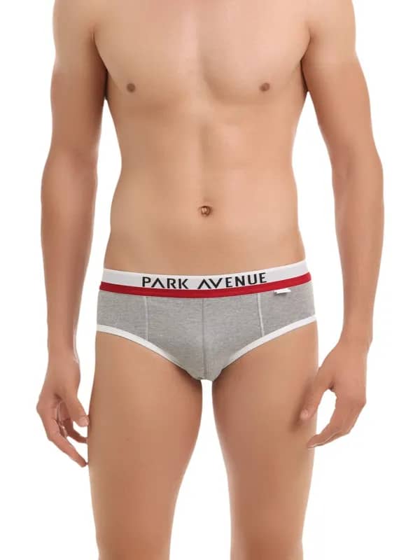 Park Avenue Men Grey Swank Briefs