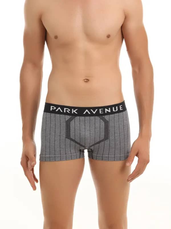 Park Avenue Men Grey & Black Brief