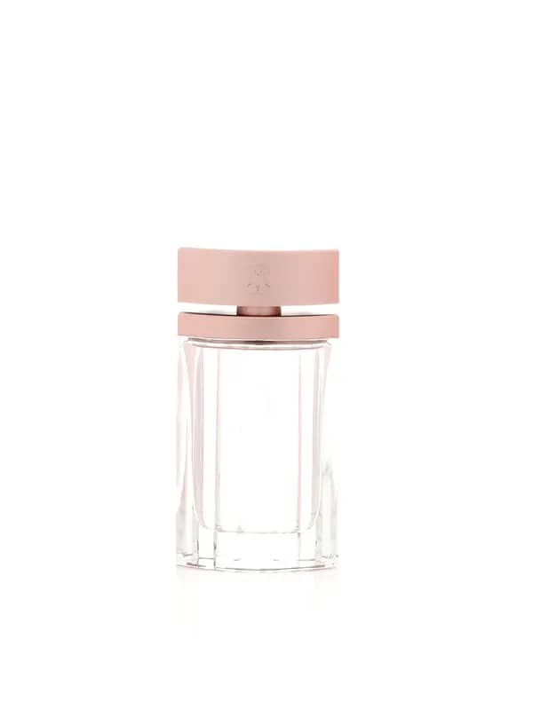 Tous Women Perfume