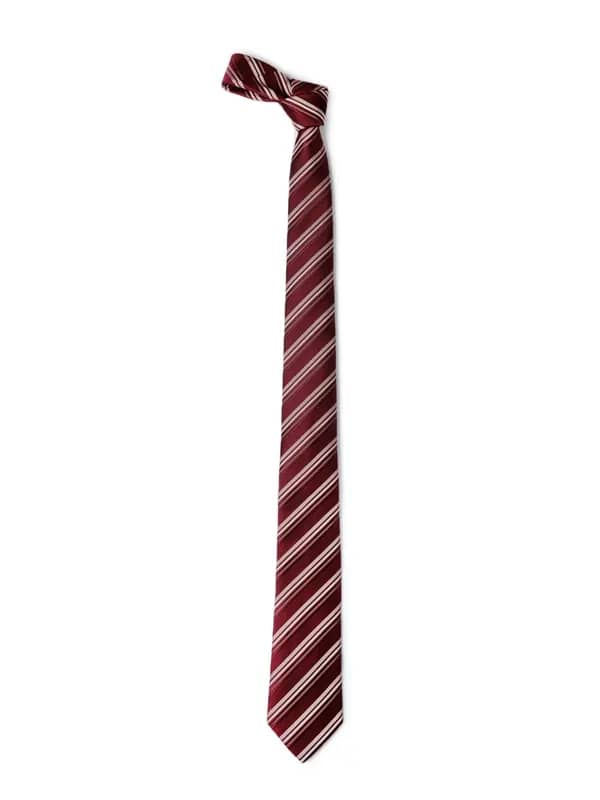 Park Avenue Men Maroon Tie