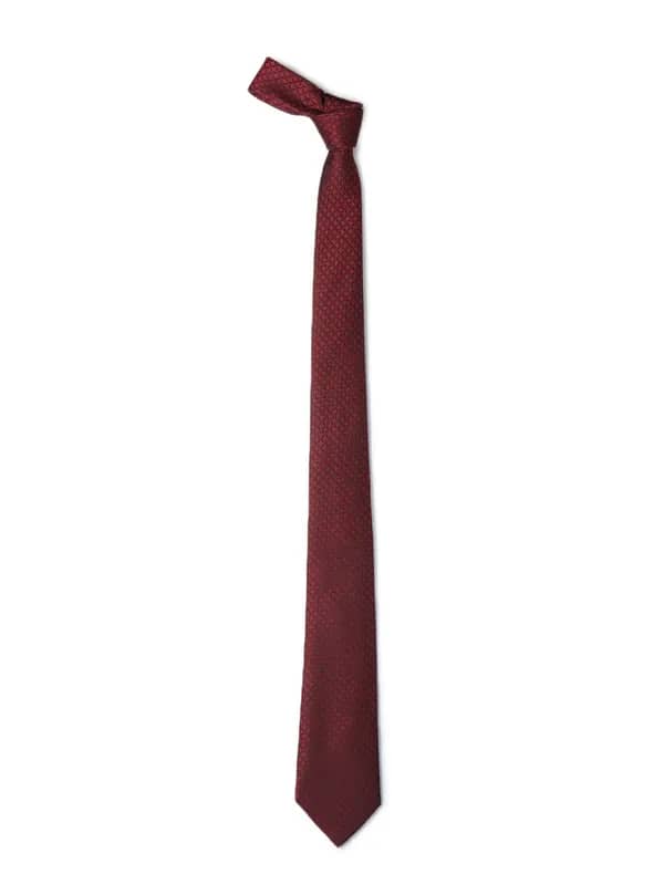 Park Avenue Men Maroon Tie