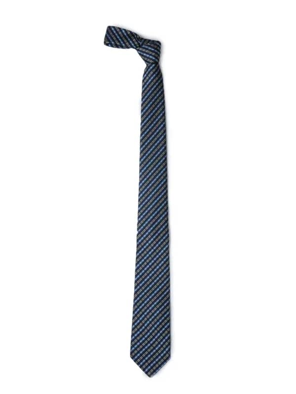 Park Avenue Men Blue Tie