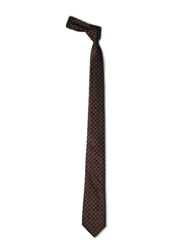 Park Avenue Men Brown Tie