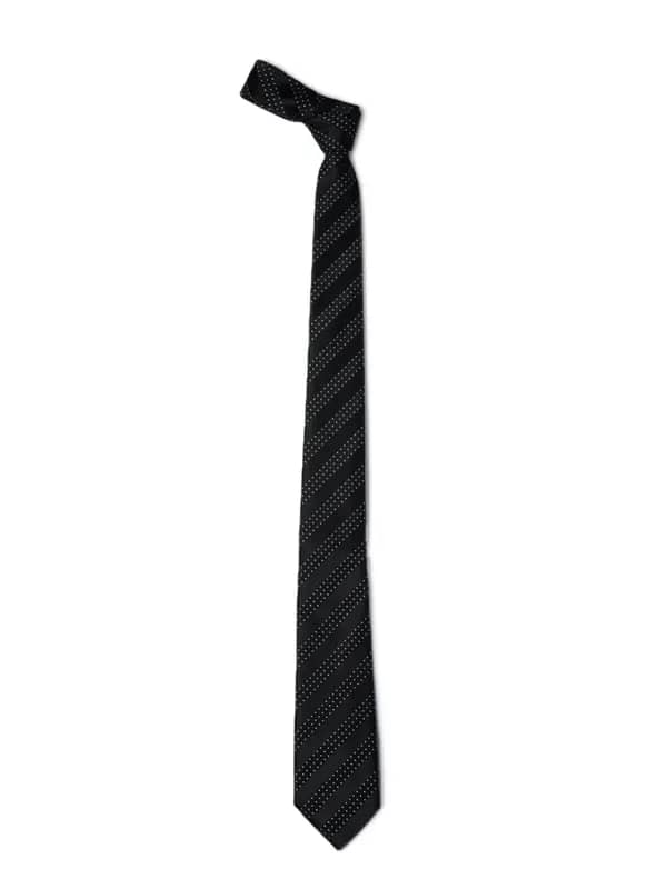 Park Avenue Men Black Tie
