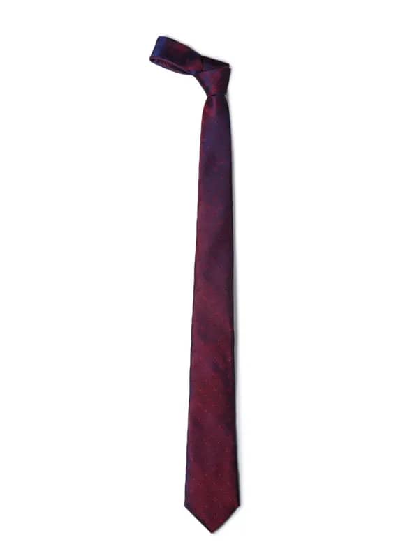 Park Avenue Men Purple Tie