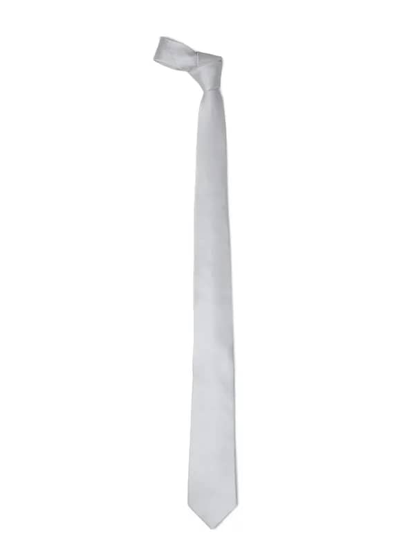 Park Avenue Men Grey Tie