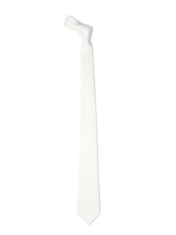 Park Avenue Men White Tie