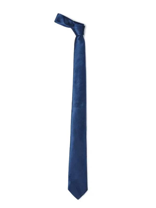 Park Avenue Men Blue Tie