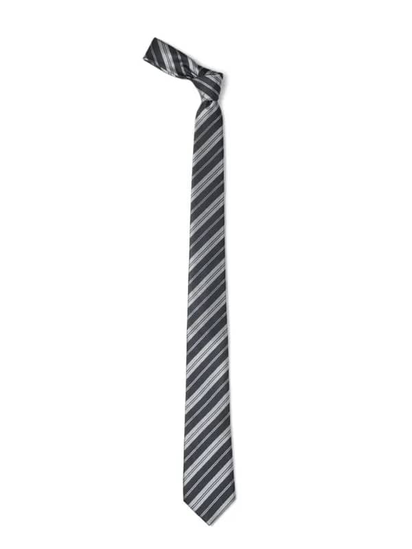 Park Avenue Men Grey Tie