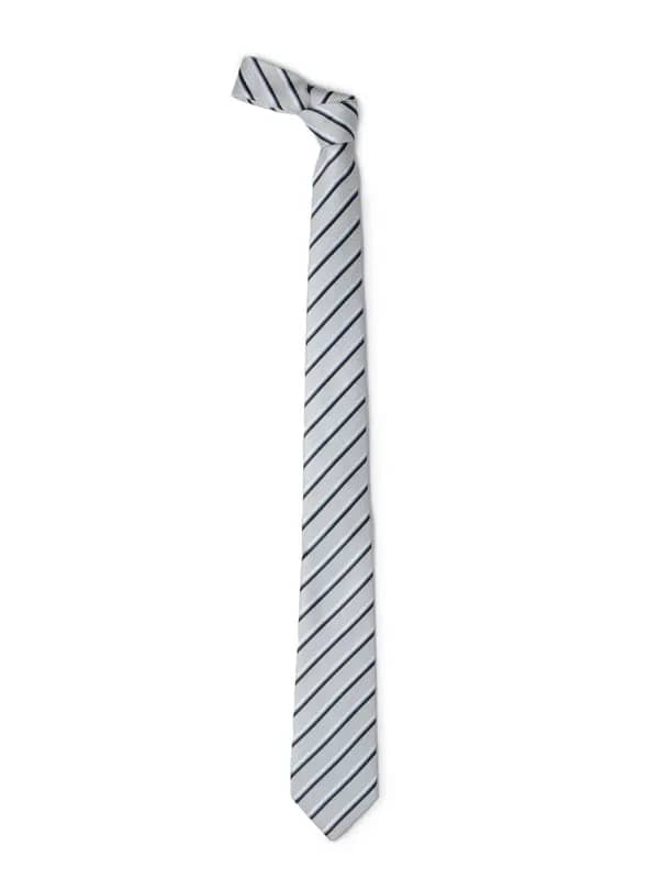 Park Avenue Men Grey Tie