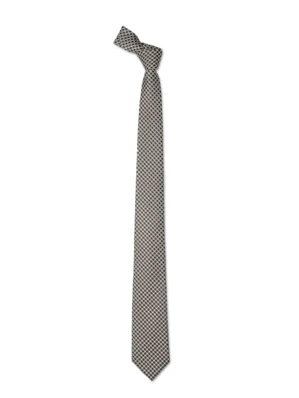 Park Avenue Men Brown Tie