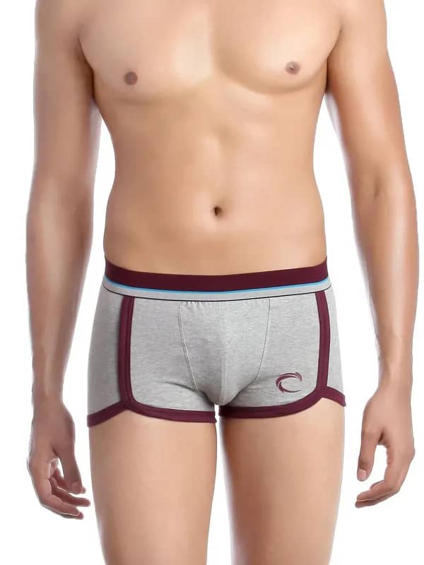 Chromozome Men Grey Trunks