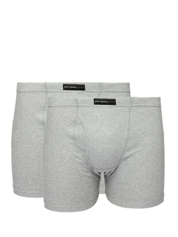 Chromozome Men Pack of Two Grey Trunks