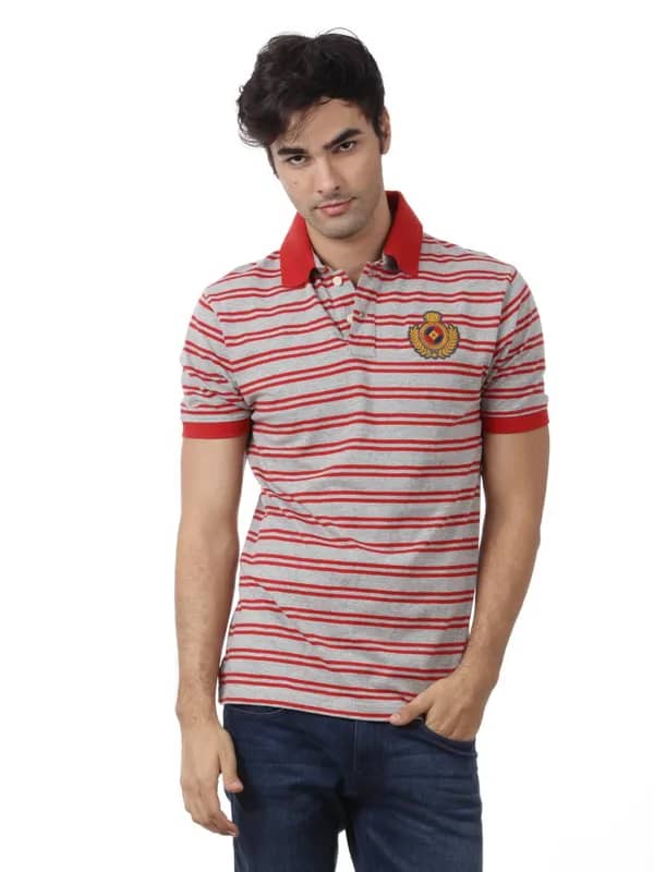 Myntra Men Grey & Red T-shirt