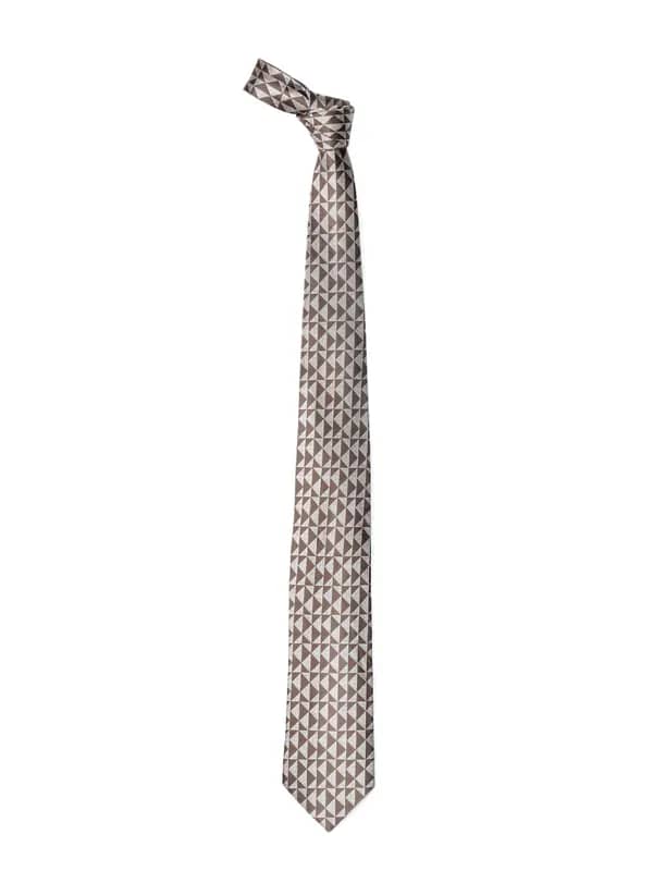 Hakashi Men Brown Tie