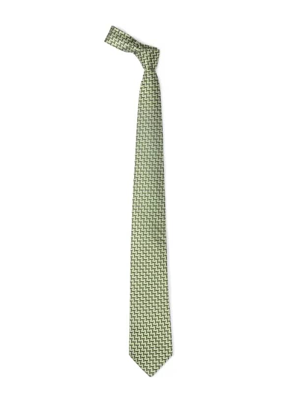Hakashi Men Green Silk Tie
