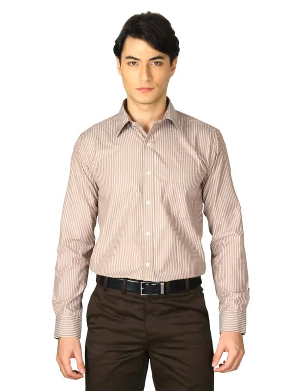 Mark Taylor Men Brown Striped Shirt