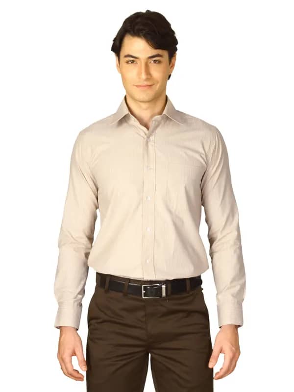 Mark Taylor Men Brown Striped Shirt