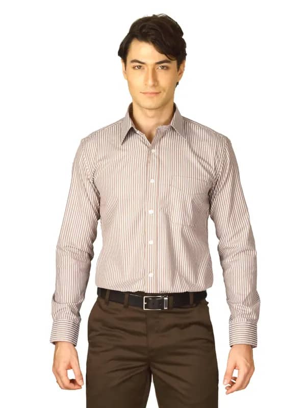 Mark Taylor Men Brown Striped Shirt