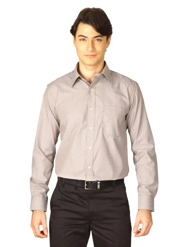 Mark Taylor Men Brown Striped Shirt