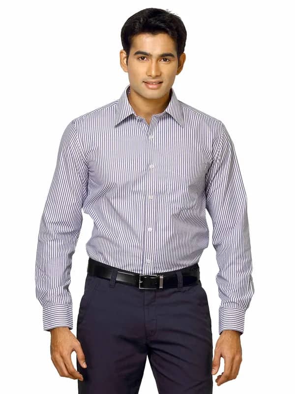 Mark Taylor Men Blue Striped Shirt